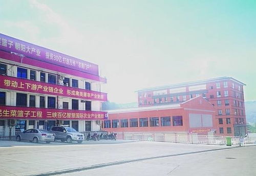 三峽國際農(nóng)產(chǎn)品集散基地 商貿(mào)區(qū) 年底投入運(yùn)營 豐富渝東北片區(qū) 菜籃子